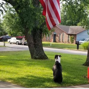 Meet your Posher, Patricia